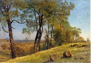Albert Bierstadt Landscape, Rockland County, California china oil painting artist